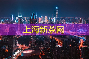 了解上海的本土音乐团队 了解上海的本土音乐团队